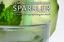 Lemon Cucumber Mint Sparkler – Low Carb Beverage Make-Over